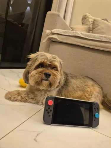 Nintendo Switch V1 Desbloqueado