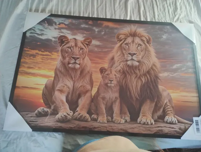 Quadro Família Leão ?