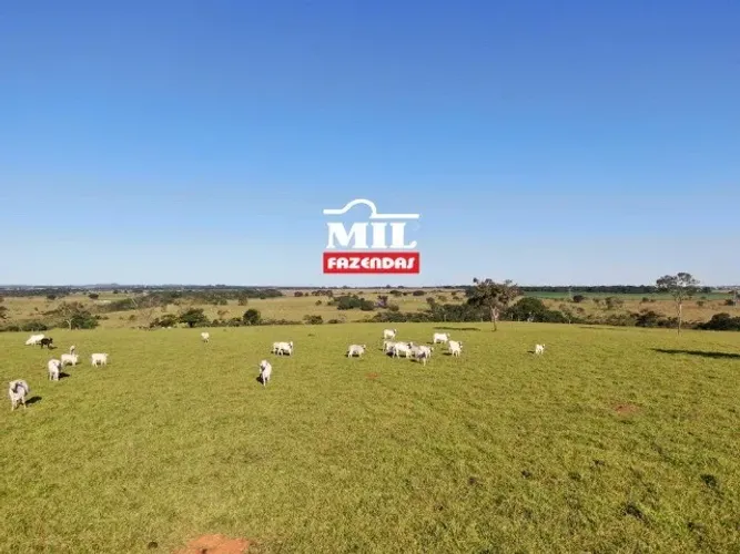 Vendo Área 37 alqueires condomínio chácaras investimento- Goiânia, Santo Antônio de Goiás