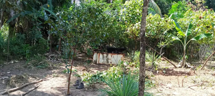 Vendo esse terreno