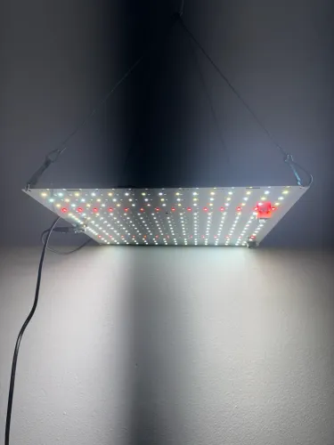 QUANTUM BOARD LED GROW LM281b 120w seminovas