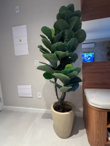 Planta artificial Fícus Lyrata grande