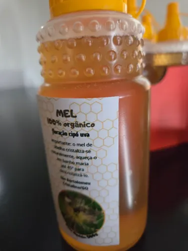 Mel puro orgânico florada cipó uva