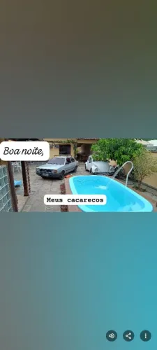 Gaiola metálica para pássaro, com puleiros, comedores e bebedouros.
