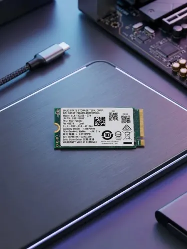 SSD 256GB M.2 2242 NVMe PCIe Gen4 SSTC 