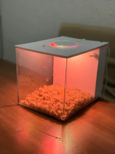 Aquário 4,5 litros completo!