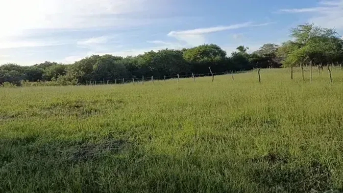 Excelente Fazenda com 28 hectares na região de Touros