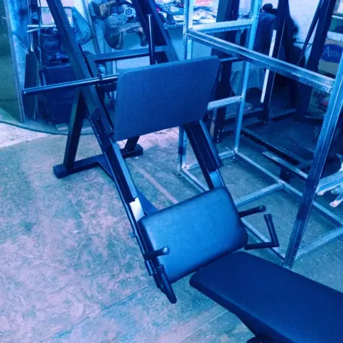 Leg press profissional