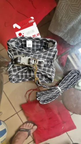 Artigo para caes e gatos