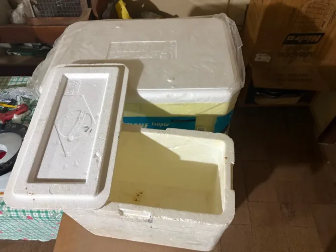 Duas Caixas Térmicas de Isopor 