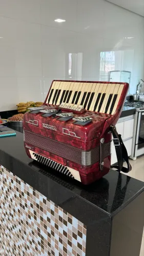 Acordeon( sanfona ) Todeschine Artist 3