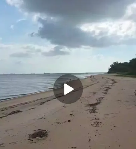 Terreno pé na areia mosqueiro