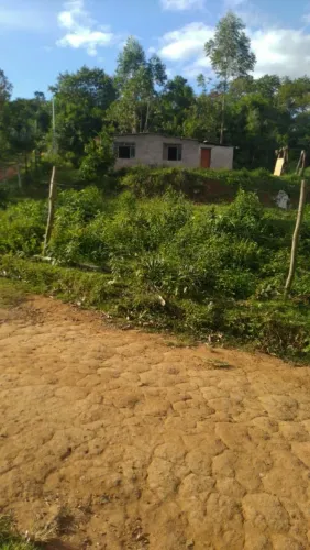 Granja em Humaitá 3 quartos