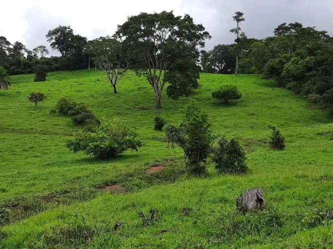 Chacara de 2,19 alqueires em Terezopolis de Goias