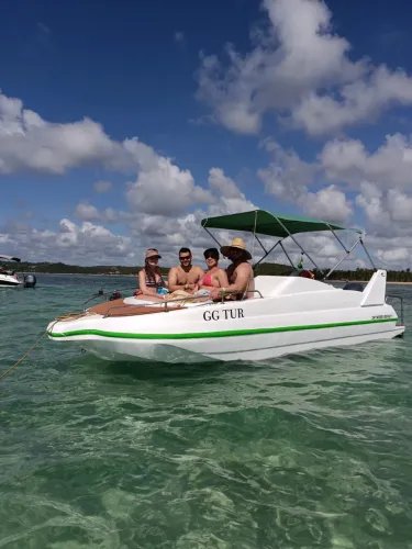 Lancha gold fish 17 pés 