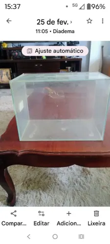 Aquário/Terrário