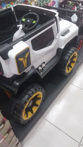 Carrinho Elétrico.