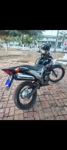 Falcon top Dut em branco 