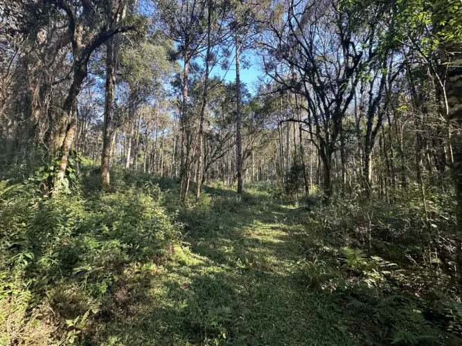 Terreno em Campo Alegre/SC.