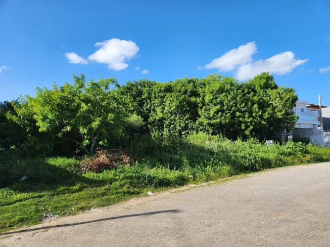 Terreno Excepcional de 6.860m² no Areal, Pelotas! Construa a casa ou comercio dos seus son