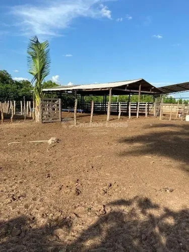 Fazenda à venda, Morro do Alecrim, Caxias, MA
