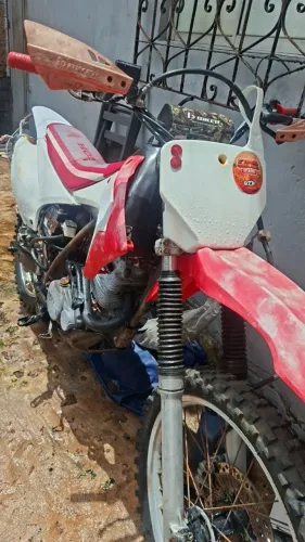 Vendo xrf montada pra trilha 