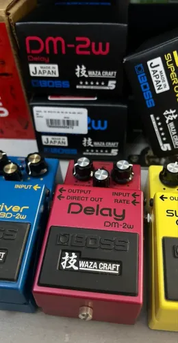 Pedal Boss Waza Craft DM2W
