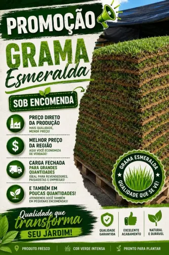 Vende-se grama esmeralda, valor por metro, região de Palmeira das Missões