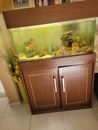 Aquario com movel