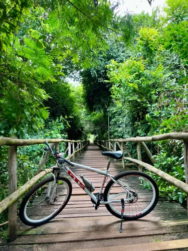 Bicicleta GTS Aro 29