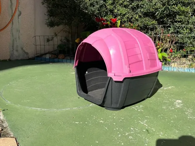 Casinha para pet
