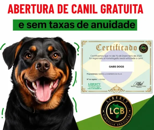 Solicite já o Pedigree do seu cão de Raça