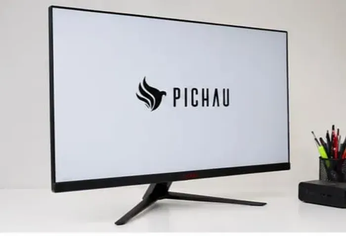 Monitor Gamer Pichau - Usado, Funcionando Perfeita