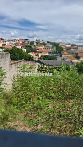 Venda Lote-Área-Terreno Canaã Belo Horizonte