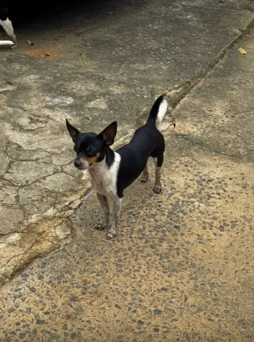 Doação 