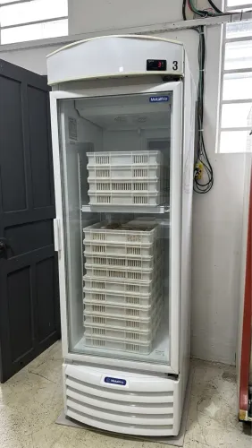 Visa Coller freezer de Congelamento