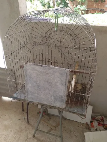Vendo Gaiolão de papagaio grande 