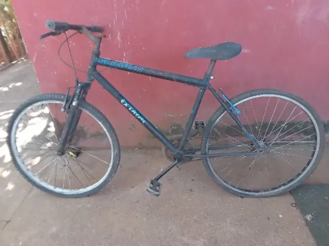 Bicicleta adulto