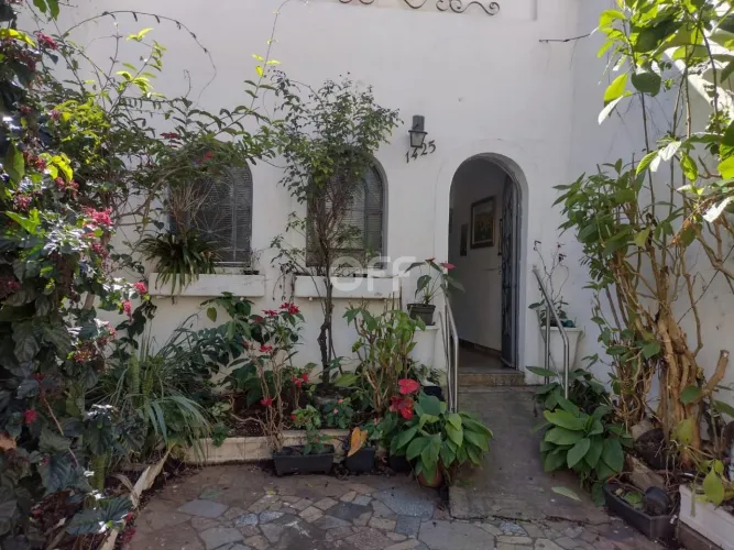casa - Cambuí - Campinas