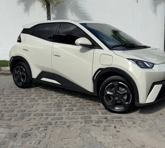 BYD Dolphin Mini (Elétrico) 2025