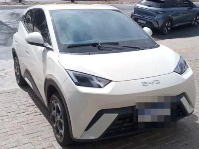 BYD Dolphin Mini (Elétrico) 2026