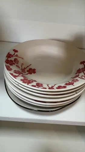 Pratos usados
