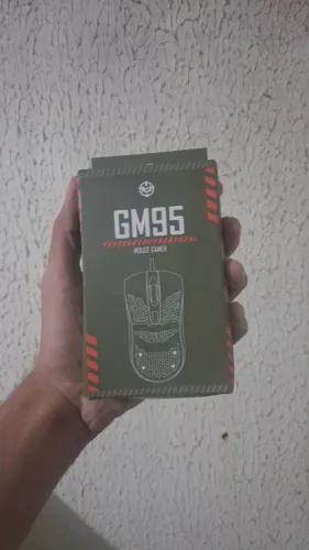 Mouse GM95 