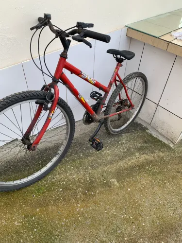 Bicicleta 