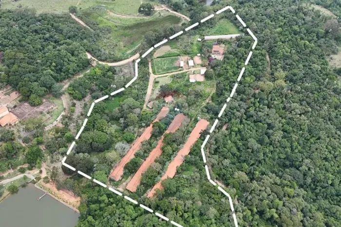 SÍTIO À VENDA EM PEDREIRA ESTRUTURA COMPLETA PARA PRODUÇÃO AVÍCOLA E AGRICULTURA FAMILIAR