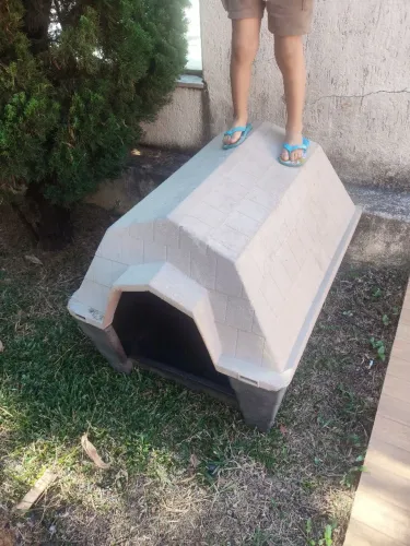 Casa pra cachorro grande