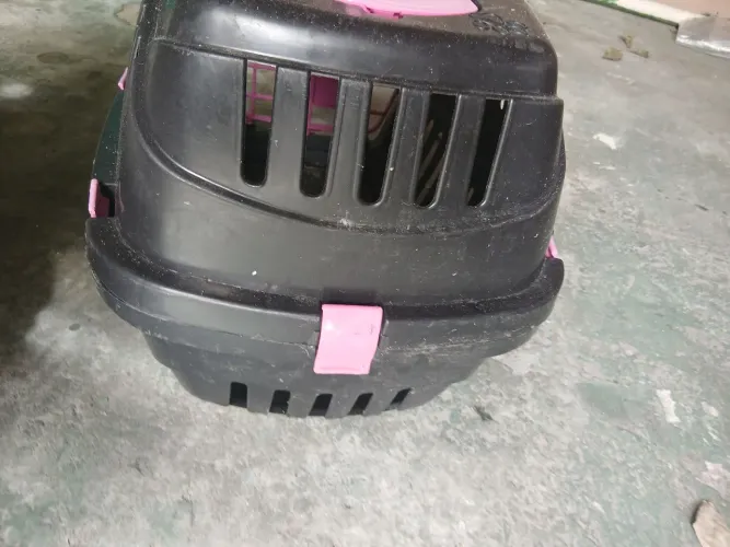 Caixa transportadora para Coelho, gato ou porquinho da Índia 