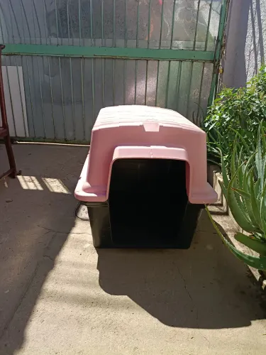 Casinha de cachorro porte grande