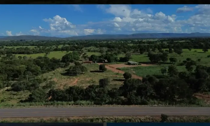 A&M IMOVEIS VENDE FAZENDA DE 52 HEC DE PORTEIRA FECHADA A 10 KM DE BURITIS - MG