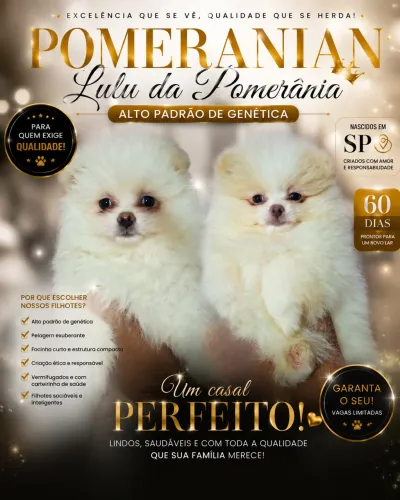 Lulu da pomerania